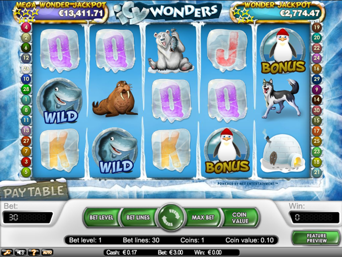 icy wonders tema