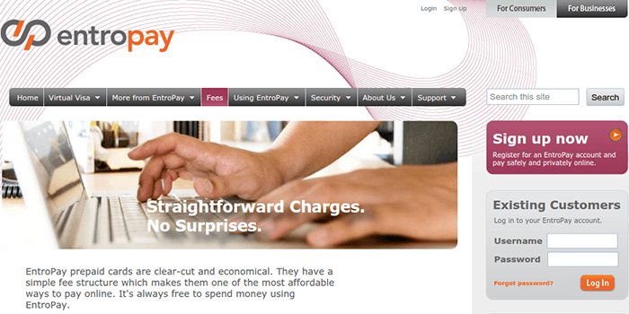 EntroPay Avgifter