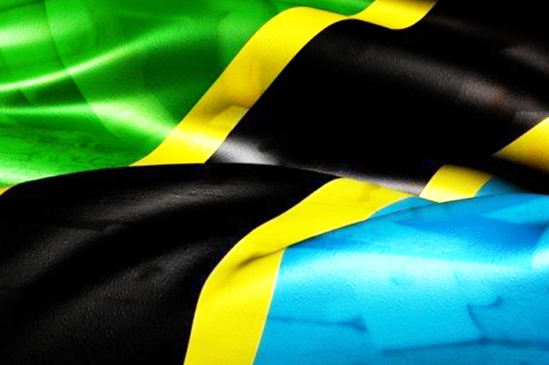Pronet Gaming blickar mot tanzanisk expansion med PrincessBet